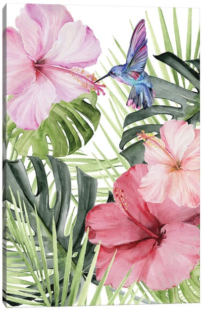 Hibiscus & Hummingbird I Canvas Art Print - Tropical Leaf Art
