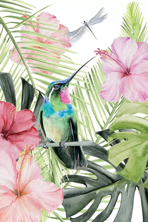 Hibiscus & Hummingbird II by Jennifer Paxton Parker wall art