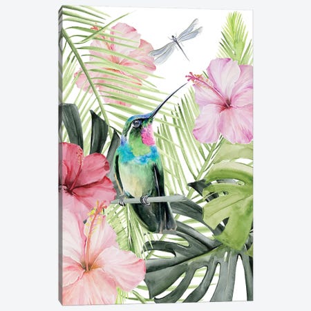 Hibiscus & Hummingbird II Canvas Print #JPP244} by Jennifer Paxton Parker Canvas Print