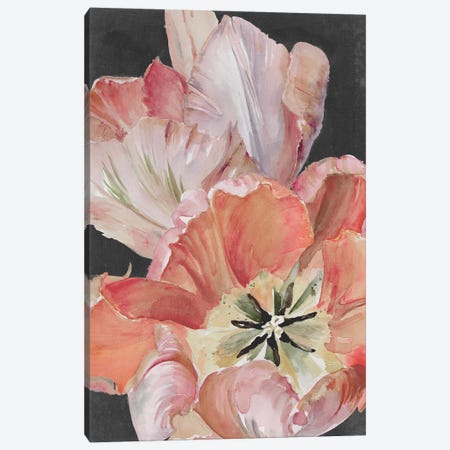 Pastel Parrot Tulips I Canvas Print #JPP255} by Jennifer Paxton Parker Canvas Artwork