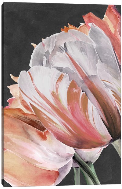 Pastel Parrot Tulips III Canvas Art Print - Tulip Art
