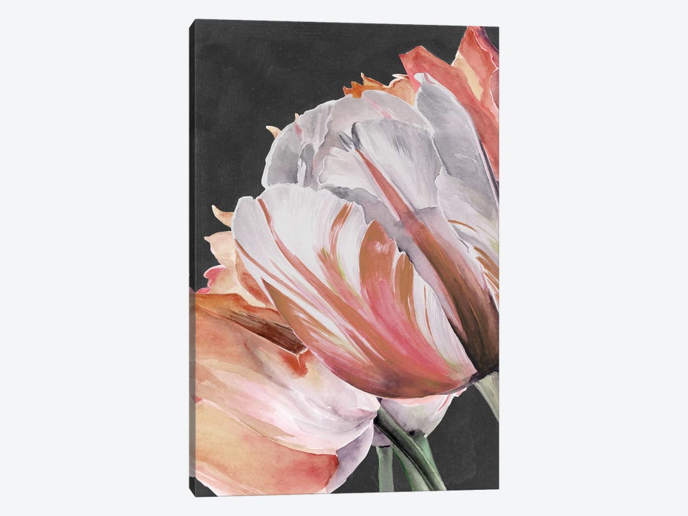 Pastel Parrot Tulips III by Jennifer Paxton Parker 1-piece Canvas Print