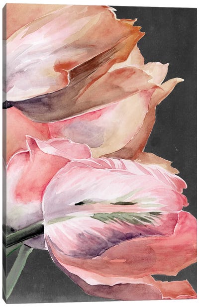 Pastel Parrot Tulips IV Canvas Art Print - Jennifer Paxton Parker