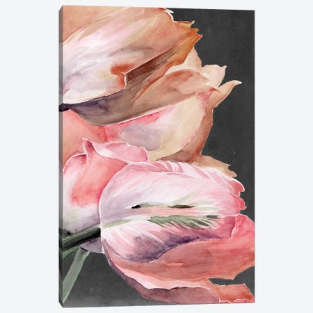 Pastel Parrot Tulips IV Canvas Print #JPP258} by Jennifer Paxton Parker Canvas Print