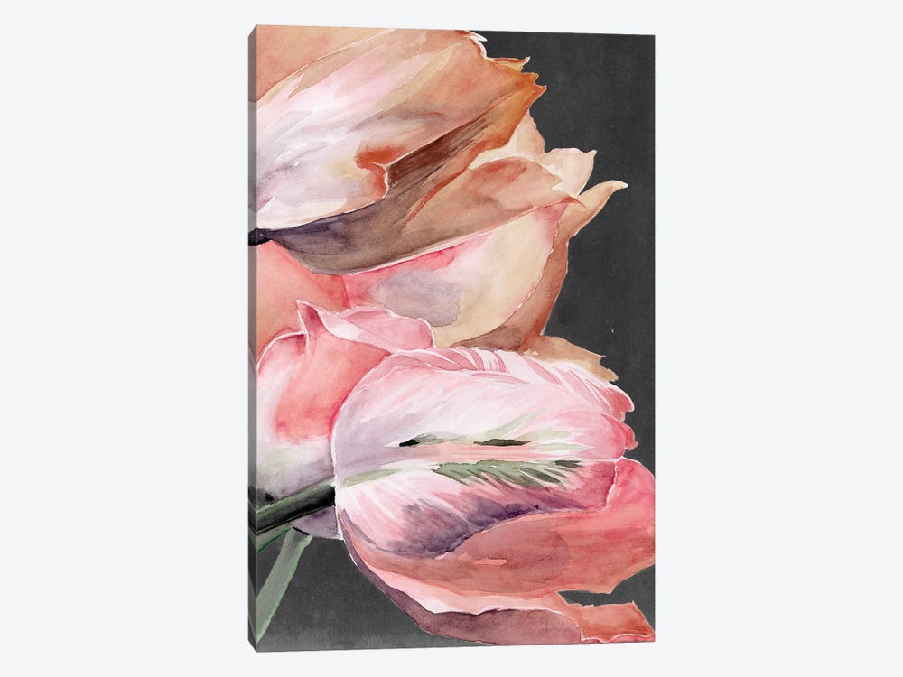 Pastel Parrot Tulips IV by Jennifer Paxton Parker 1-piece Canvas Artwork