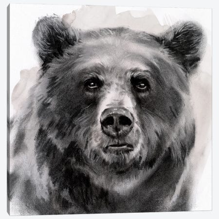 Bear Grin II Canvas Print #JPP262} by Jennifer Paxton Parker Canvas Wall Art