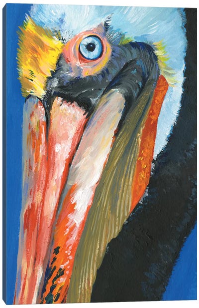 Vibrant Pelican I Canvas Art Print - Nautical Décor