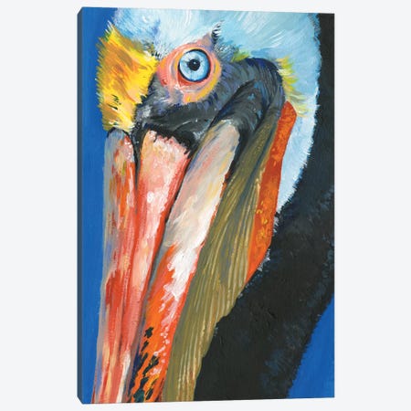 Vibrant Pelican I Canvas Print #JPP272} by Jennifer Paxton Parker Canvas Print