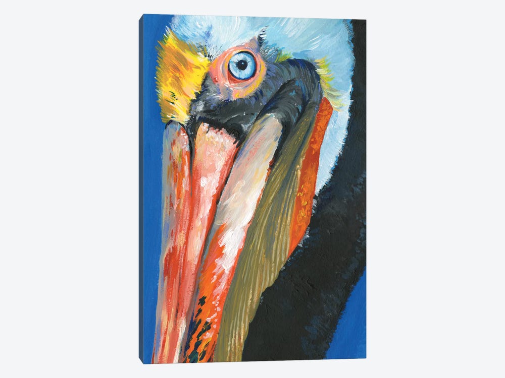 Vibrant Pelican I by Jennifer Paxton Parker 1-piece Canvas Wall Art