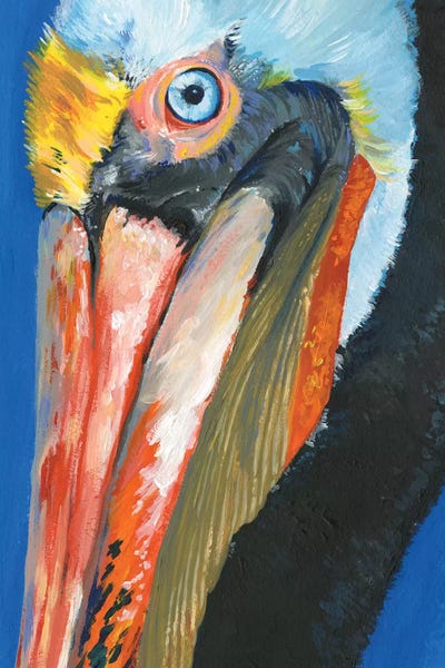 Nautical Décor: Vibrant Pelican I by Jennifer Paxton Parker