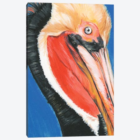 Vibrant Pelican II Canvas Print #JPP273} by Jennifer Paxton Parker Canvas Art Print