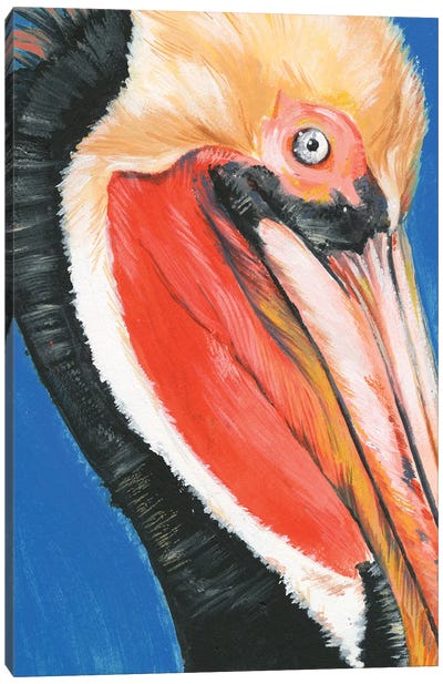 Vibrant Pelican II Canvas Art Print - Pelican Art