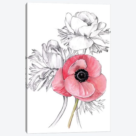 Anemone by Number I Canvas Print #JPP278} by Jennifer Paxton Parker Canvas Art Print