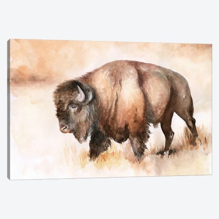 Buffalo Roam I Canvas Print #JPP285} by Jennifer Paxton Parker Art Print
