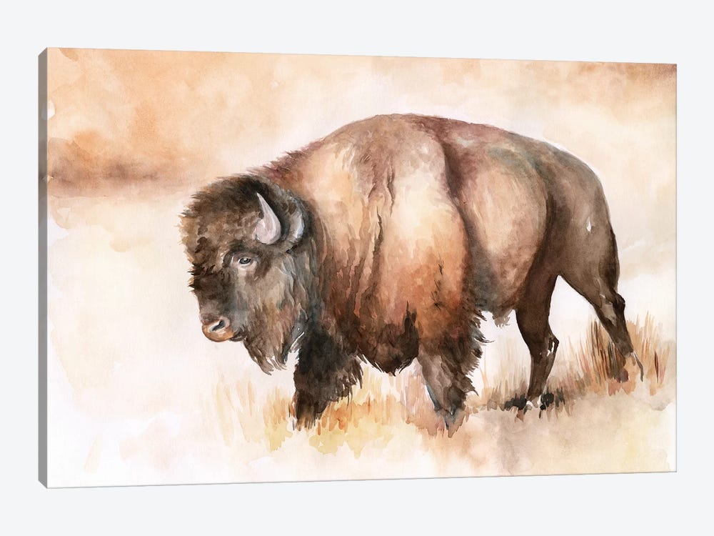 Buffalo Roam I by Jennifer Paxton Parker 1-piece Canvas Art