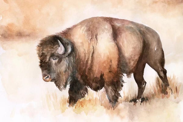 Jennifer Paxton Parker: Buffalo Roam I by Jennifer Paxton Parker