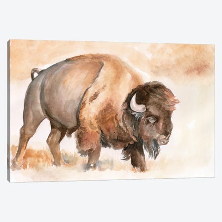Bison Canvas Art Print by Dave Bartholet | iCanvas