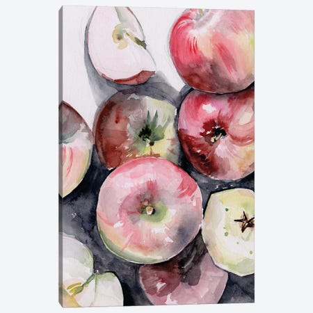 Fruit Slices I Canvas Print #JPP301} by Jennifer Paxton Parker Canvas Art Print
