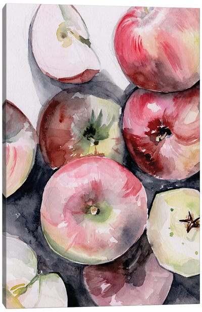 Fruit Slices I Canvas Art Print