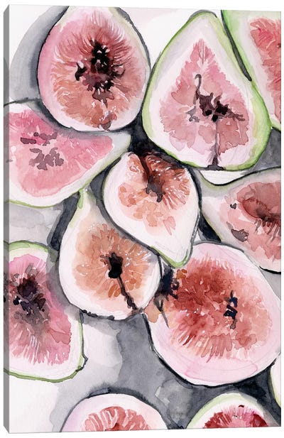 Fruit Slices II Canvas Art Print - Jennifer Paxton Parker