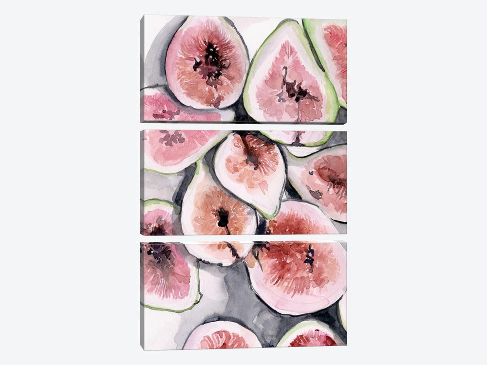 Fruit Slices II by Jennifer Paxton Parker 3-piece Canvas Art