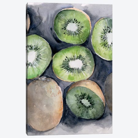 Fruit Slices IV Canvas Print #JPP304} by Jennifer Paxton Parker Canvas Artwork