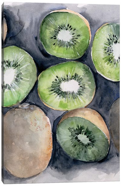 Fruit Slices IV Canvas Art Print - Rodent Art