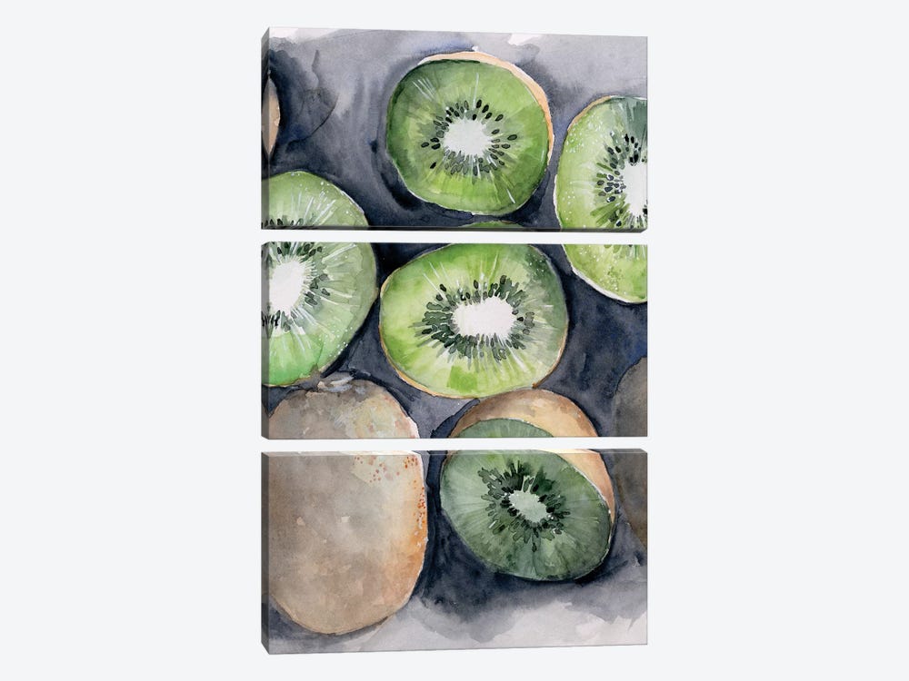 Fruit Slices IV by Jennifer Paxton Parker 3-piece Canvas Art