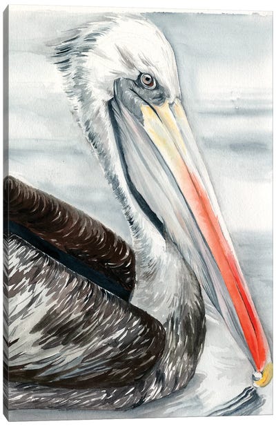 Grey Pelican I Canvas Art Print - Pelican Art