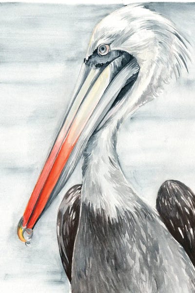Pelicans Art Prints Icanvas