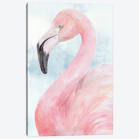 Pink Flamingo Portrait II Canvas Print #JPP318} by Jennifer Paxton Parker Canvas Wall Art