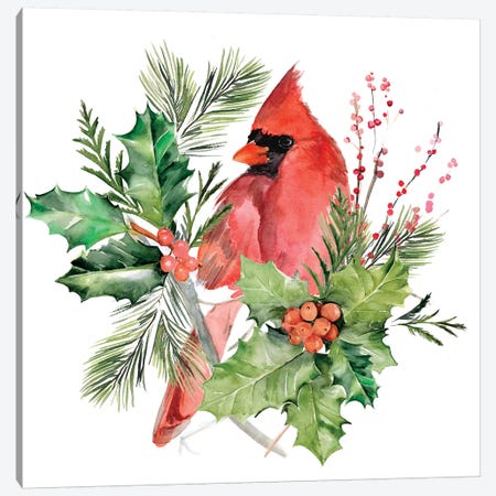 Cardinal Holly Christmas Collection C Canvas Print #JPP356} by Jennifer Paxton Parker Canvas Art Print