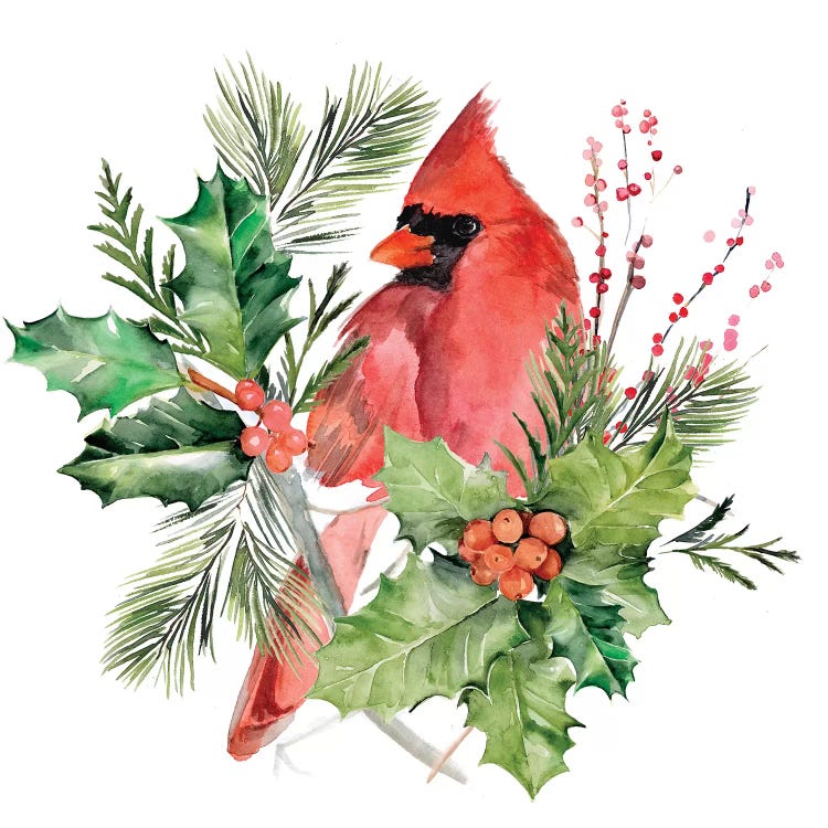 Cardinal Holly Christmas Collection C by Jennifer Paxton Parker wall art