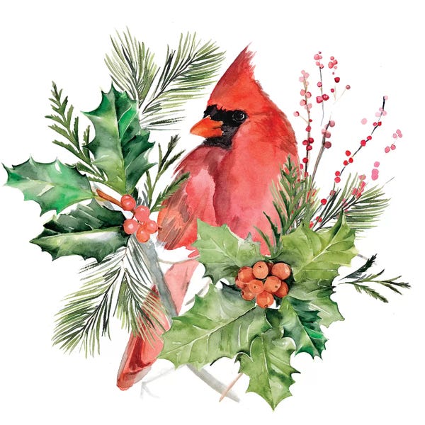 Cardinal Holly Christmas Collection C