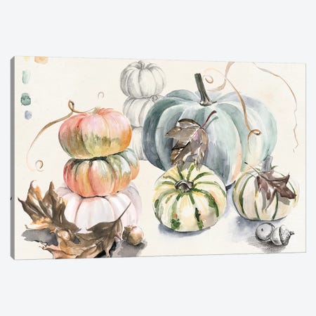 Harvest Pumpkins Collection A Canvas Print #JPP372} by Jennifer Paxton Parker Canvas Artwork