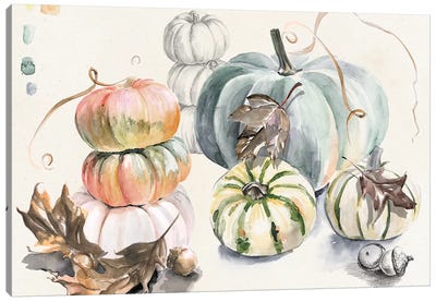 Harvest Pumpkins Collection A Canvas Art Print - Thanksgiving Art