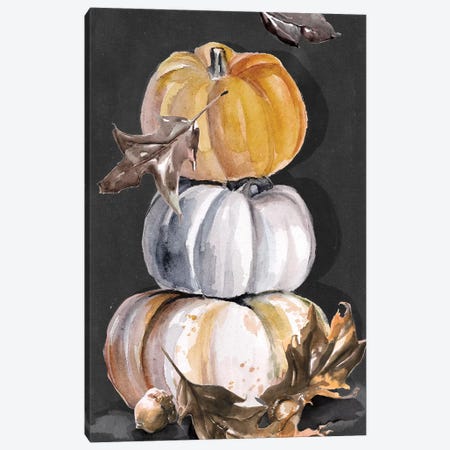 Harvest Pumpkins Collection B  Canvas Print #JPP373} by Jennifer Paxton Parker Canvas Wall Art