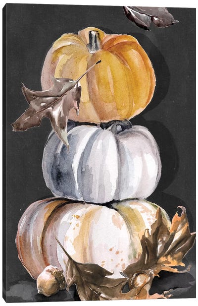 Harvest Pumpkins Collection B  Canvas Art Print - Thanksgiving Art