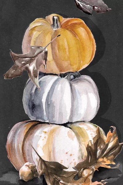 Harvest Pumpkins Collection B