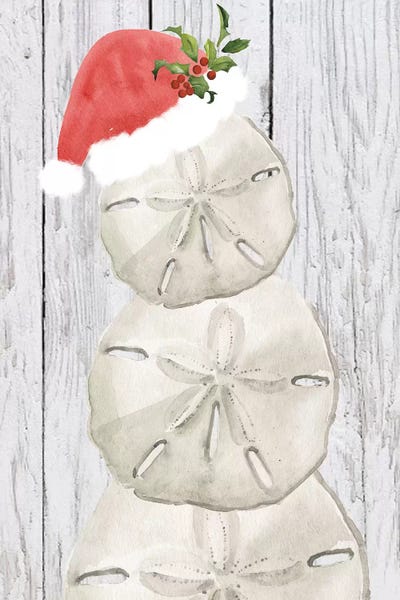 Coastal Christmas: Tis the Seasun Collection B by Jennifer Paxton Parker