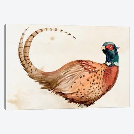 Pheasantry I Canvas Print #JPP408} by Jennifer Paxton Parker Canvas Wall Art