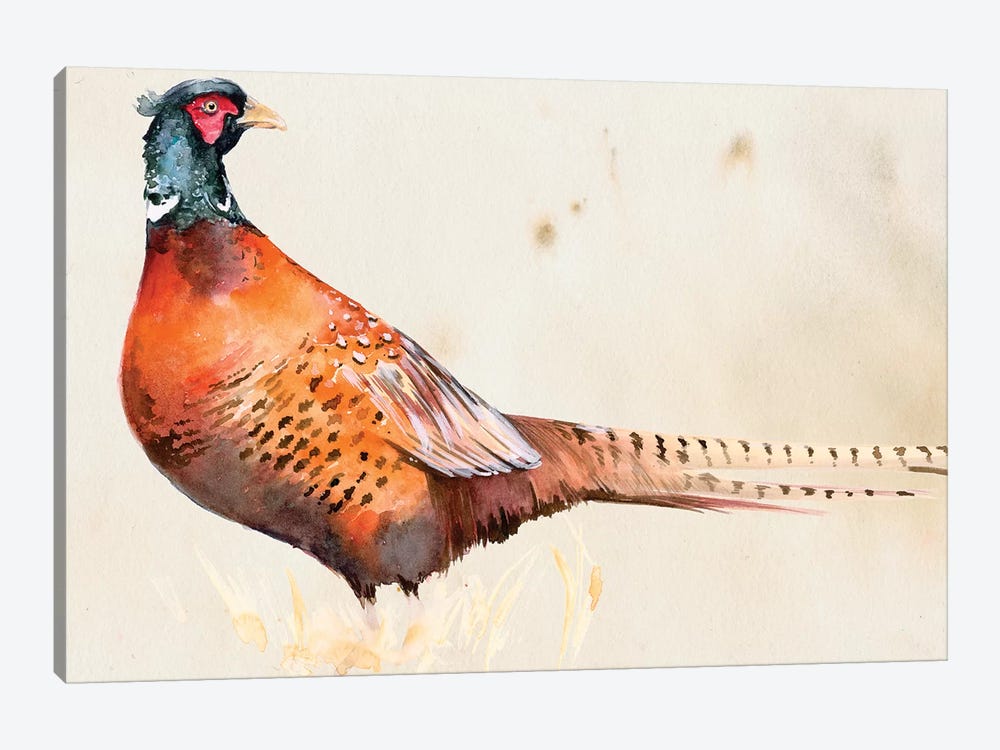 Pheasantry II by Jennifer Paxton Parker 1-piece Canvas Wall Art