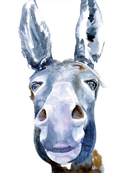 Sweet Donkey I by Jennifer Paxton Parker acrylic art print