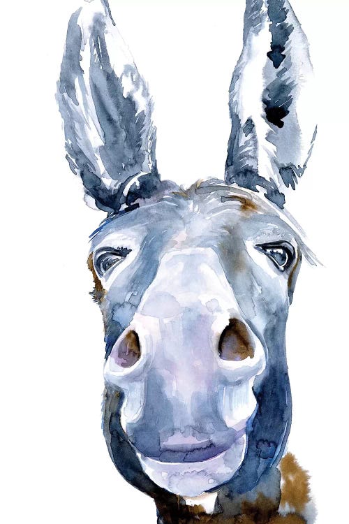 Sweet Donkey I by Jennifer Paxton Parker wall art