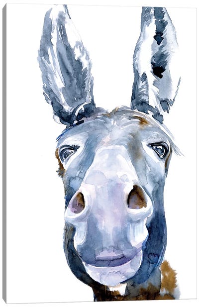 Sweet Donkey I Canvas Art Print - Donkey Art