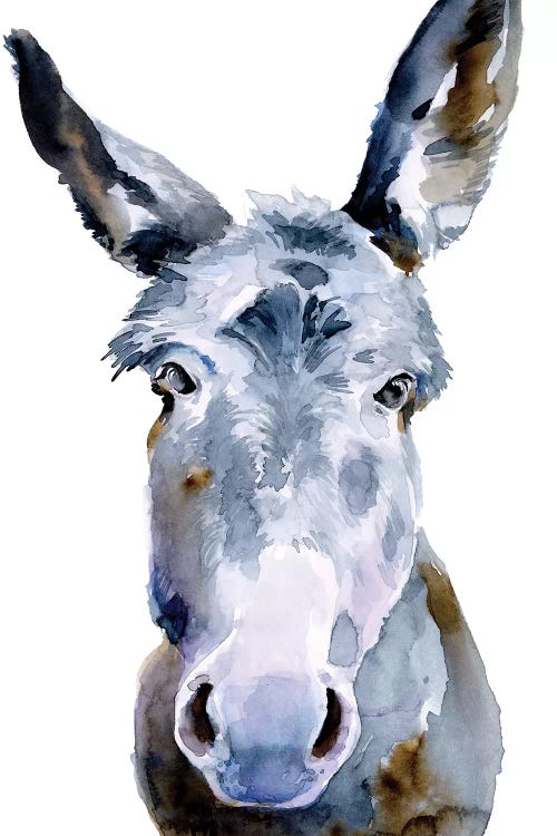 Sweet Donkey II by Jennifer Paxton Parker wall art