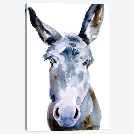Sweet Donkey II Canvas Print #JPP413} by Jennifer Paxton Parker Canvas Print