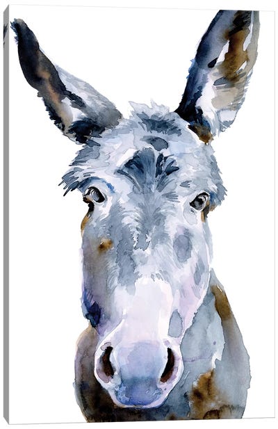 Sweet Donkey II Canvas Art Print - Donkey Art