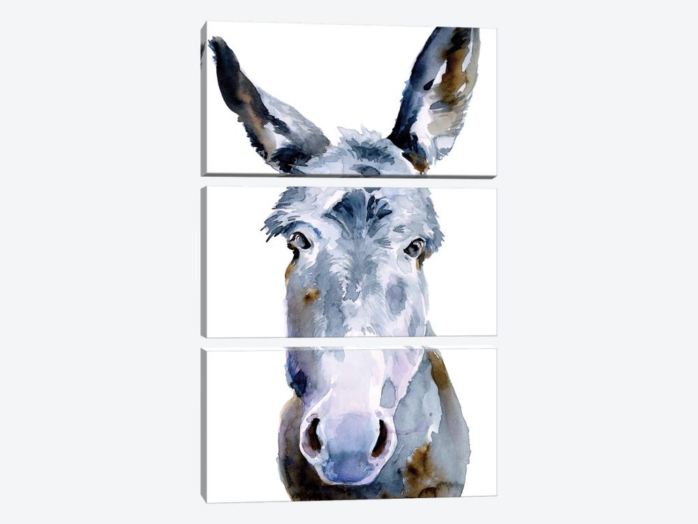 Sweet Donkey II by Jennifer Paxton Parker 3-piece Canvas Print