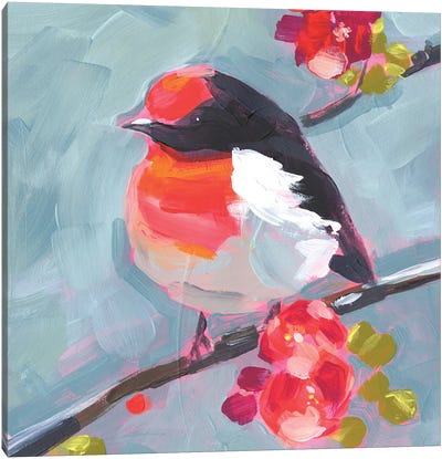 Brushstroke Bird I Canvas Art Print - Jennifer Paxton Parker